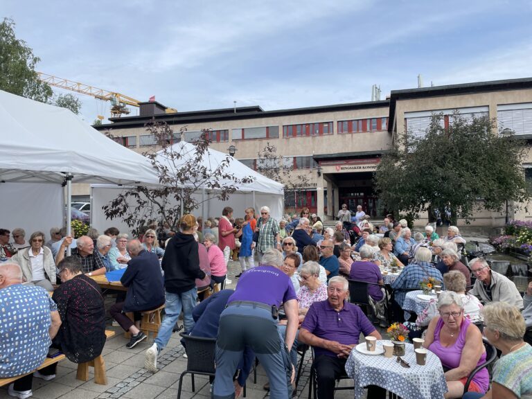 Innlandsmarkedet 2025