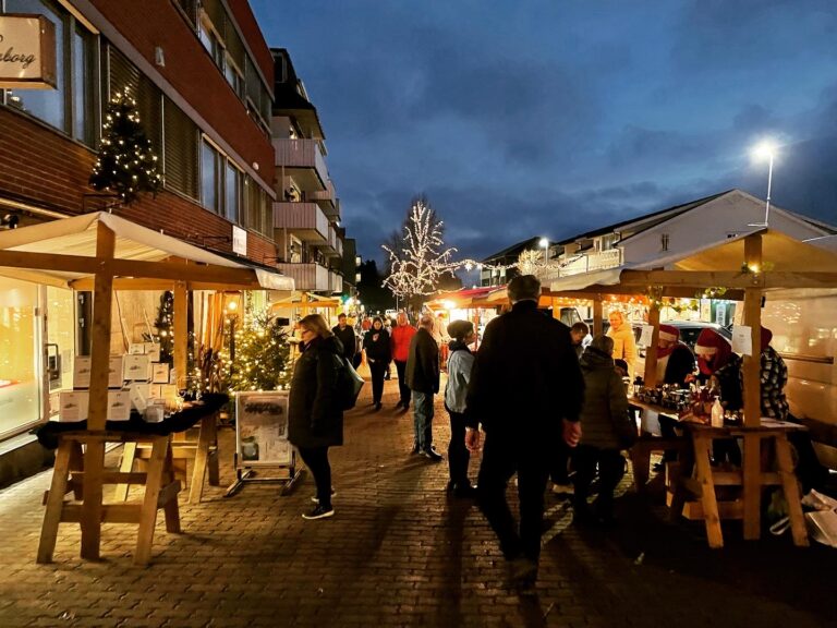 Program for julen 2025