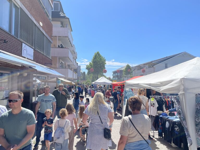 Markedsboder under Moelv dagene